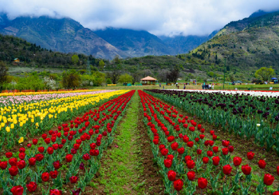 Katra to Srinagar