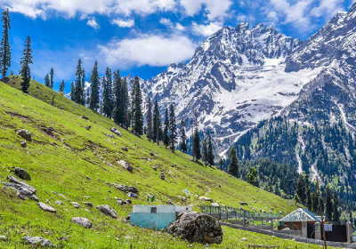 Srinagar Sightseeing