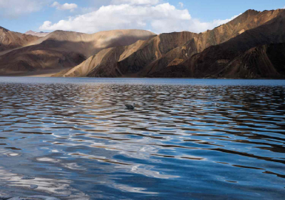 Leh - Pangong Lake - Leh