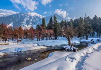 Taxi For Srinagar/Kashmir